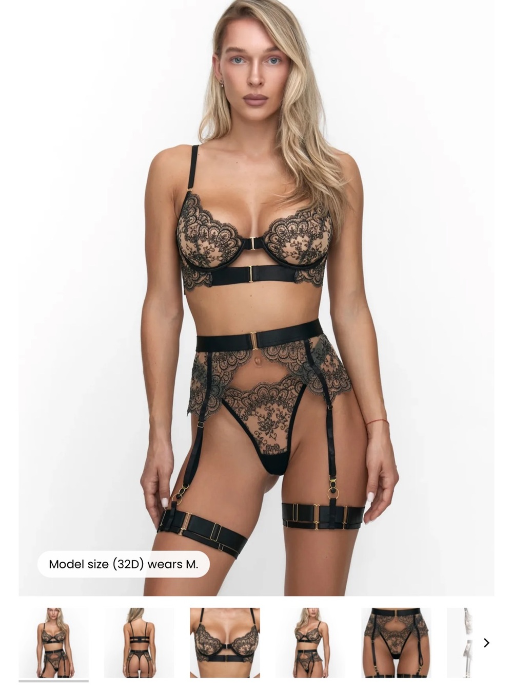 Sheer Black Lace Underwire Bra & Garter Set